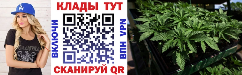 Хочу наркоту Дыгулыбгей Марихуана  Галлюциногенные грибы  АМФЕТАМИН  ГАШИШ  A-PVP  Экстази  Кокаин 