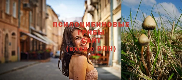 мяу мяу мука Алзамай